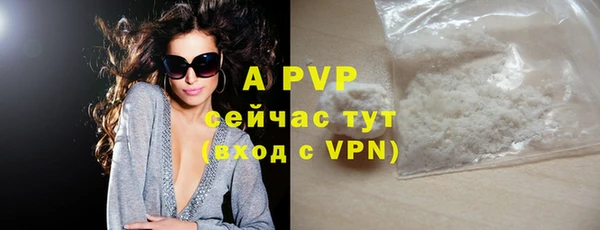 гидра Бородино