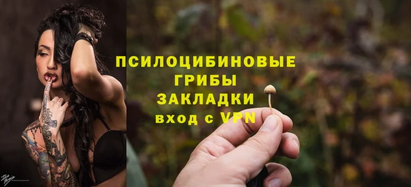гидра Бородино