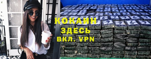гидра Бородино