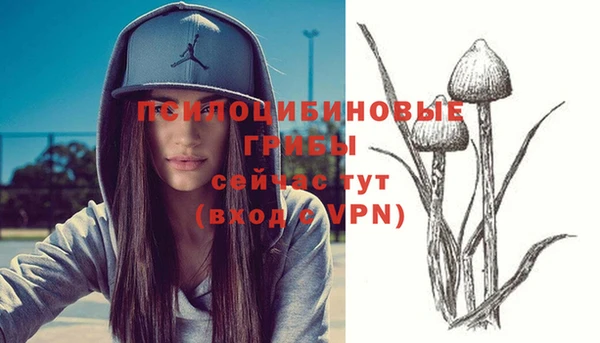 гидра Бородино