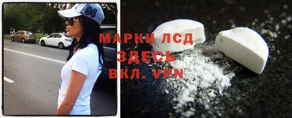 гидра Бородино
