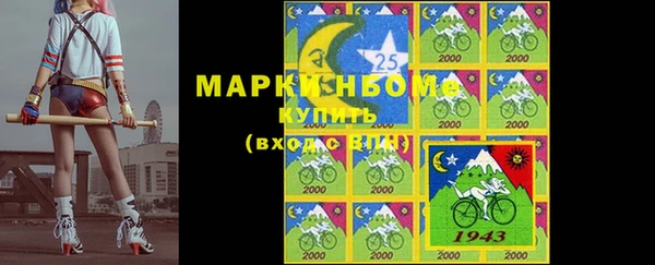гидра Бородино